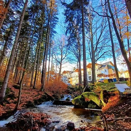 Apartament Kilinskiego 17A/9 Szklarska Poreba Bagian luar foto